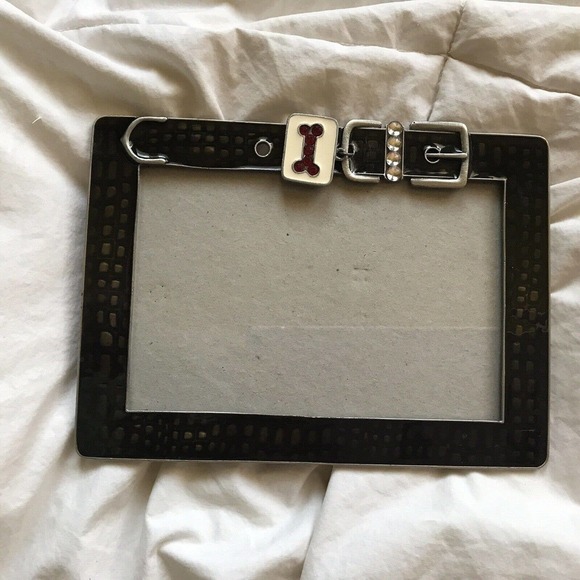 Unbranded Pet Picture Frame Collar With License 5 X 7 Photo Adorable Pre-Owned - Picture 3 of 8